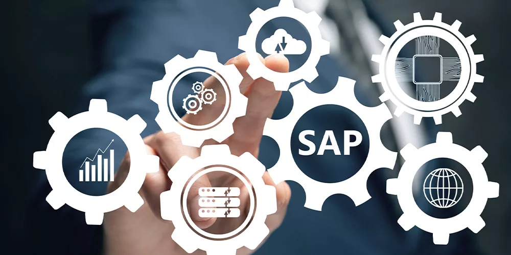 SAP S4Hana Consultant